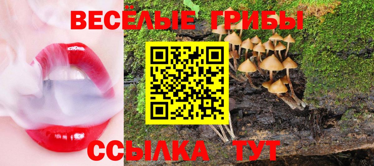 Псилоцибиновые грибы Psilocybe Нефтеюганск