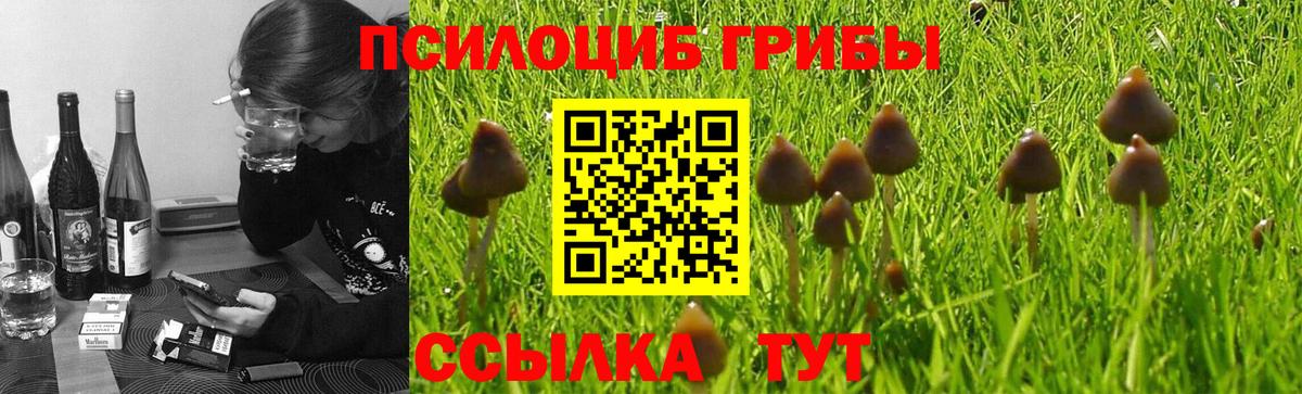 как найти закладки  Псилоцибиновые грибы мухоморы  Вход с VPN  Нефтеюганск 
